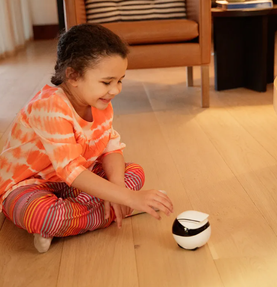 Smart Home Monitoring Robot (EBO Series)