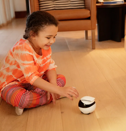 Smart Home Monitoring Robot (EBO Series)