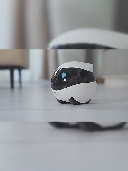 Smart Home Monitoring Robot (EBO Series)