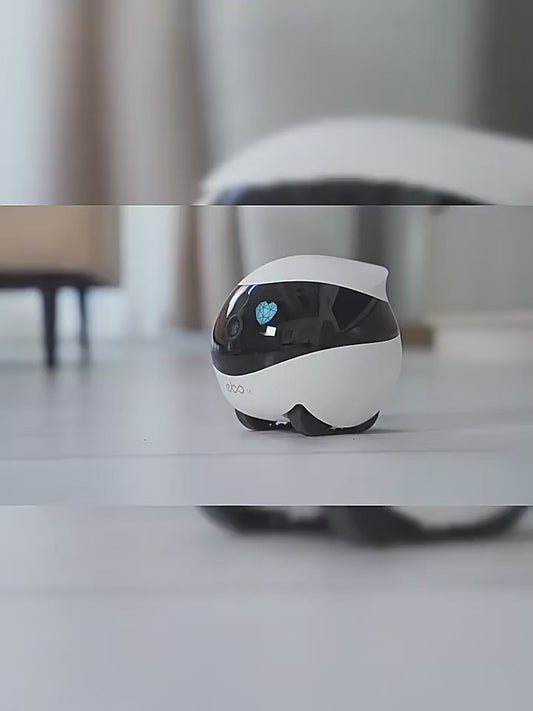 Smart Home Monitoring Robot (EBO Series)